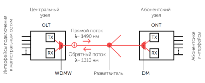 Построение сети GPON: стандарты, топологии, особенности монтажа